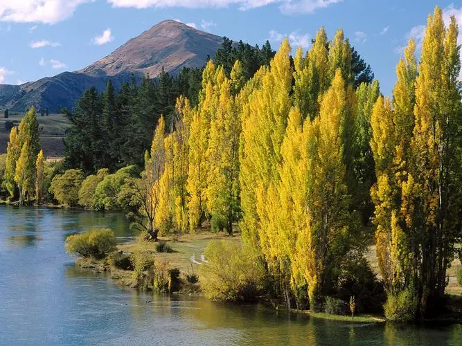 高标准智能制造可靠性
